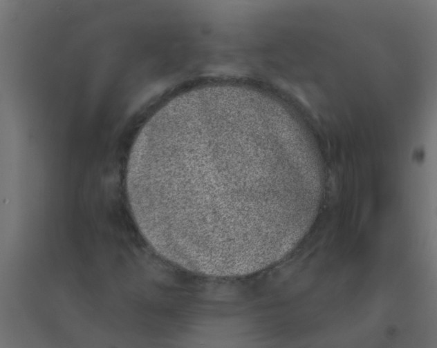 X0000094331254200711241821
