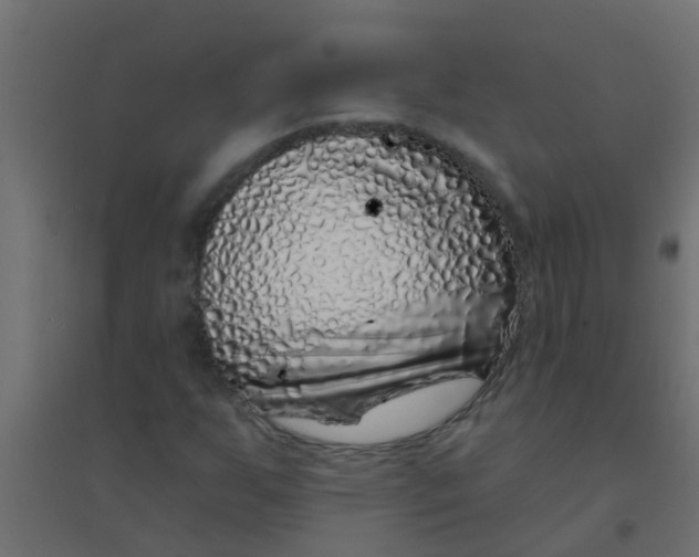 X0000094331255200711241821