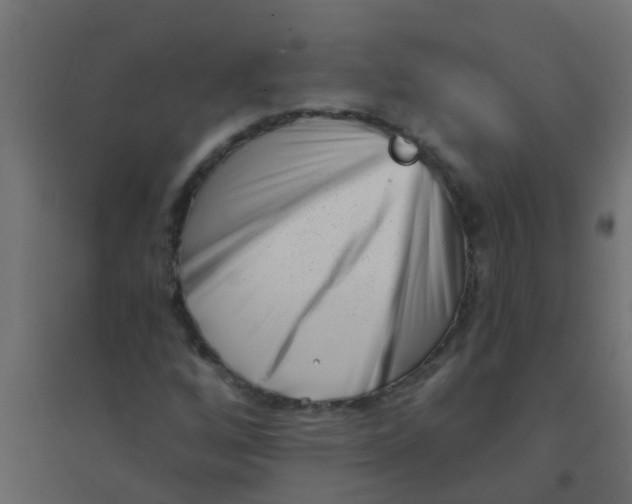 X0000094331256200711241821