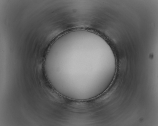X0000094331257200711241821