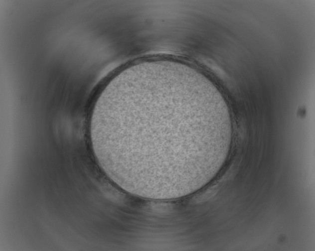 X0000094331258200711241821