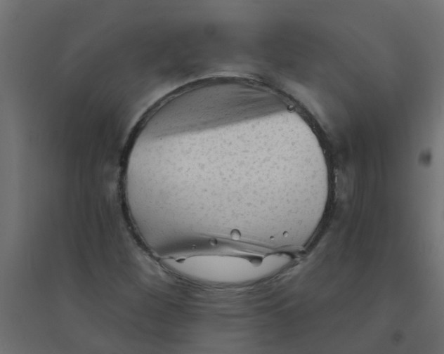 X0000094331260200711241821