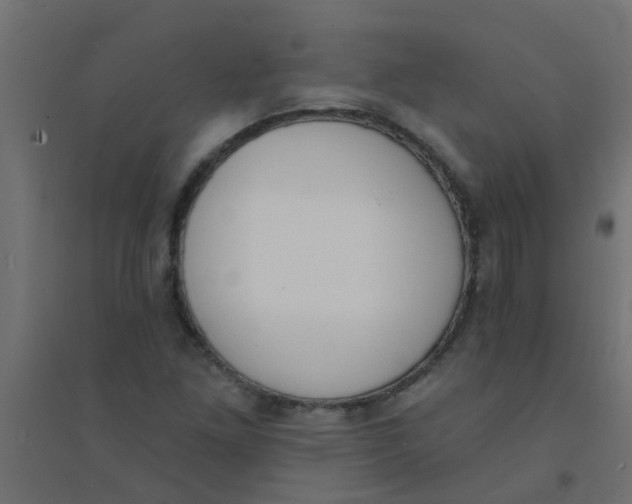 X0000094331261200711241821