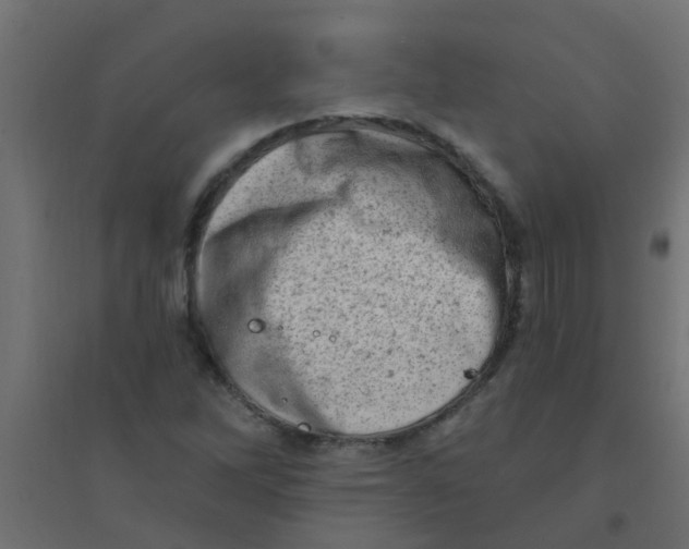 X0000094331262200711241821