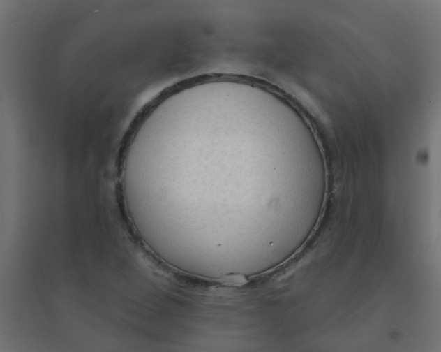 X0000094331264200711241821