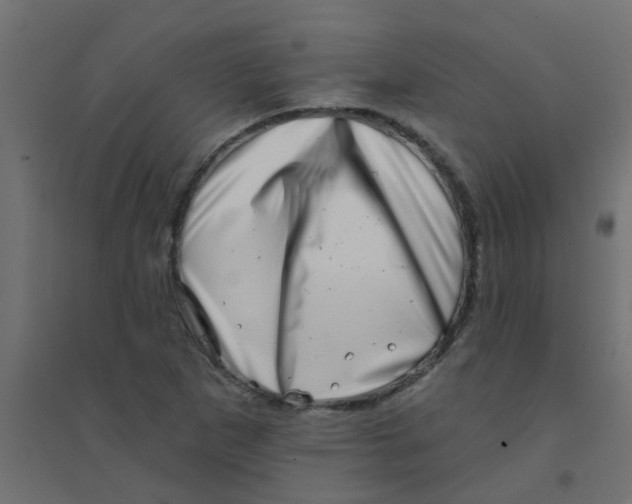 X0000094331265200711241821