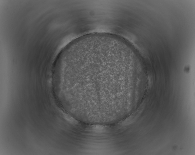X0000094331266200711241821