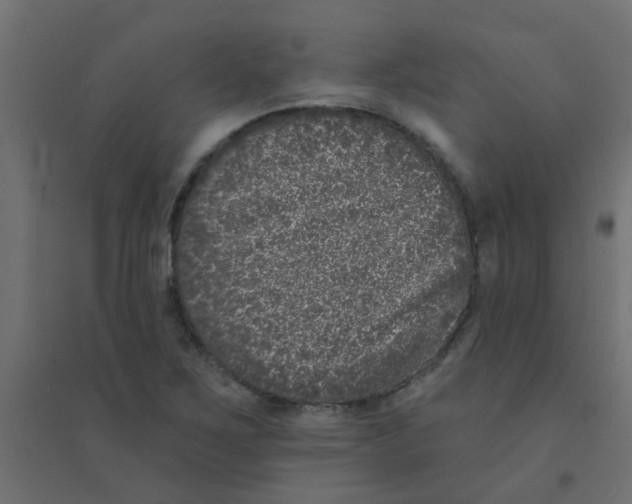 X0000094331267200711241821