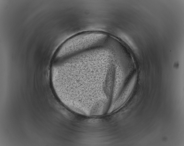 X0000094331268200711241821