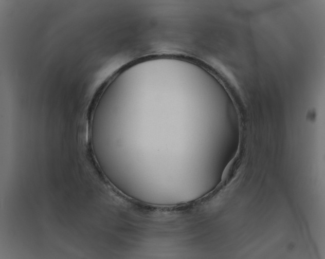 X0000094331269200711241821