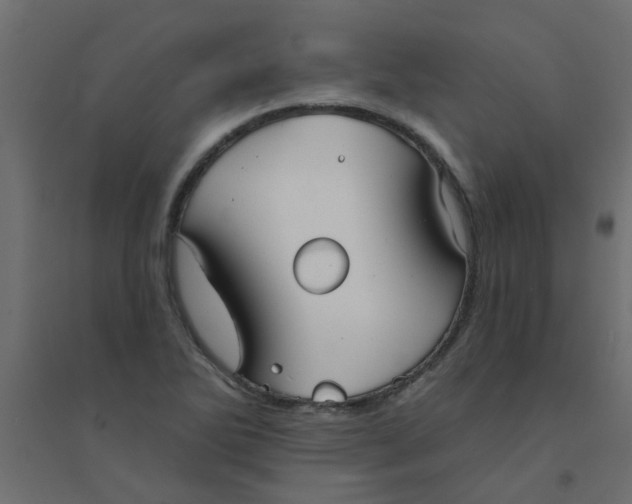 X0000094331270200711241821