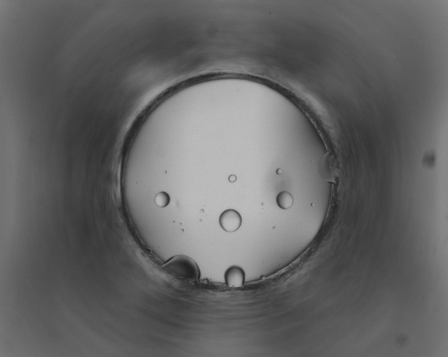 X0000094331272200711241821