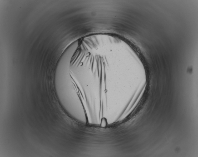 X0000094331273200711241821