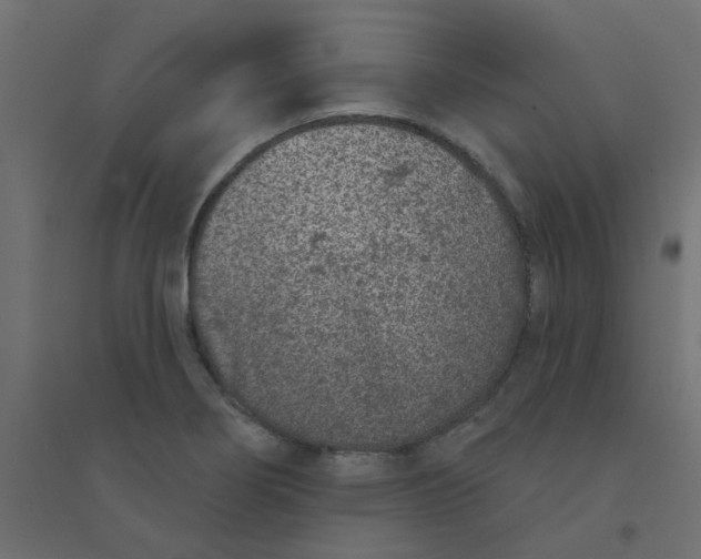 X0000094331274200711241821
