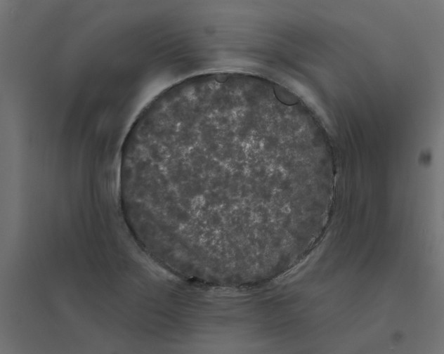 X0000094331275200711241821