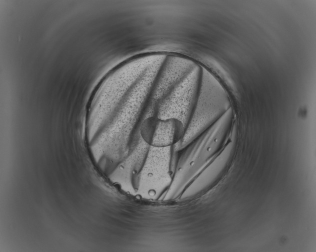 X0000094331276200711241821
