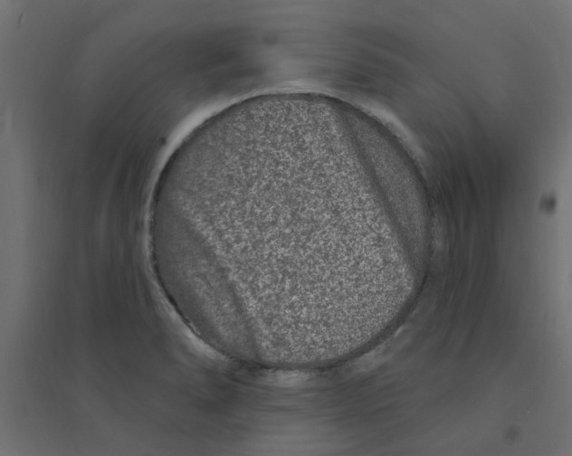 X0000094331278200711241821