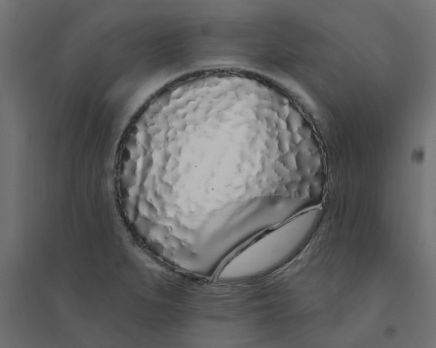 X0000094331279200711241821