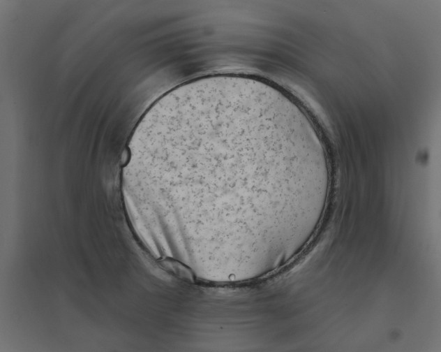 X0000094331281200711241821