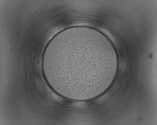 X0000094331282200711241821