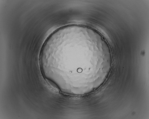X0000094331283200711241821