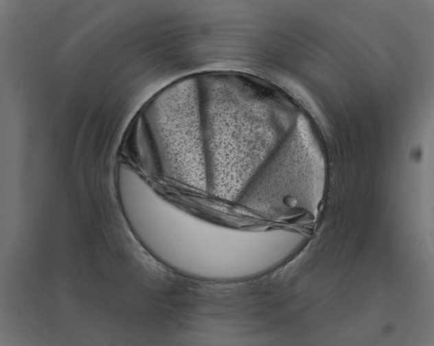 X0000094331284200711241821
