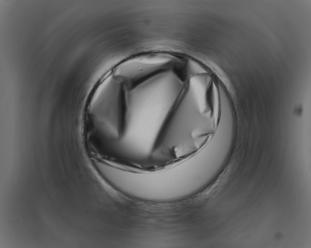 X0000094331285200711241821