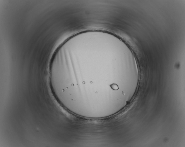 X0000094331286200711241821