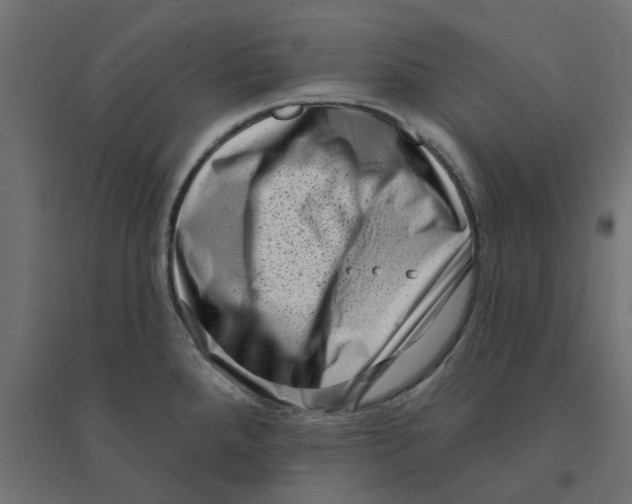 X0000094331288200711241821