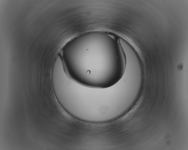 X0000094331289200711241821