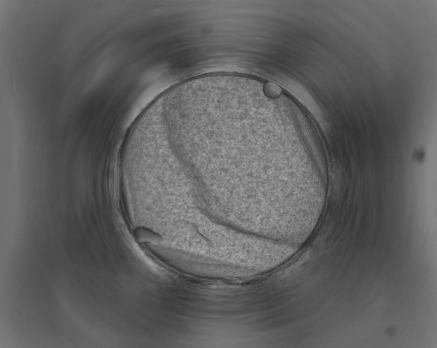X0000094331290200711241821