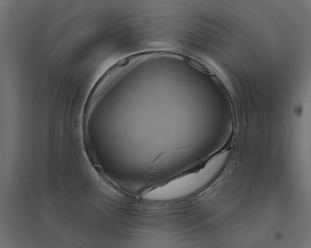 X0000094331291200711241821