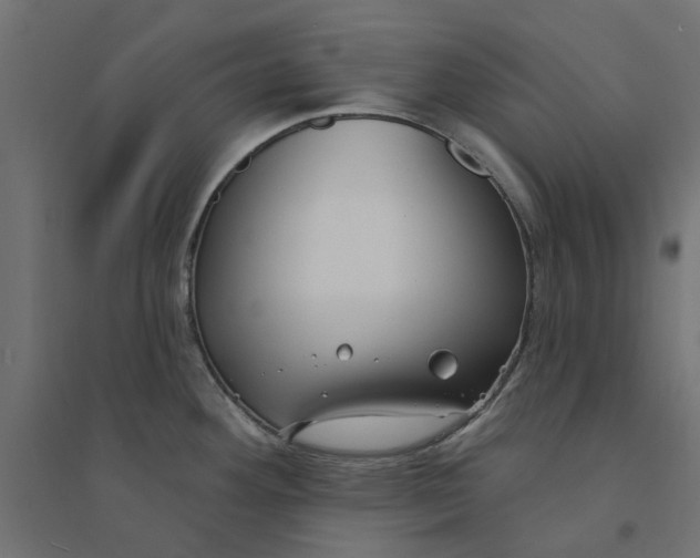 X0000094331292200711241821