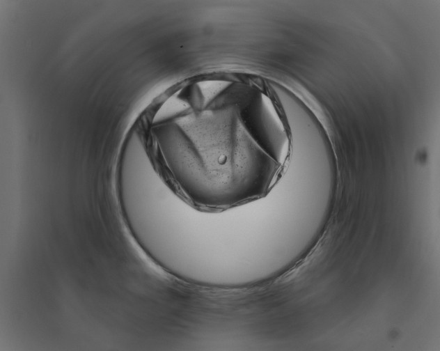 X0000094331293200711241821