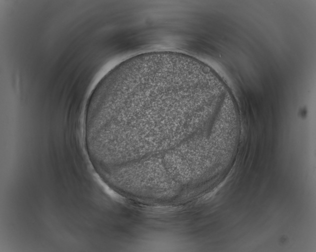 X0000094331294200711241821