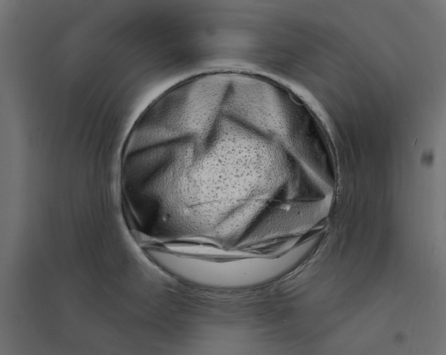 X0000094331295200711241821