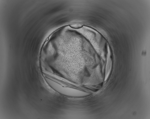 X0000094331296200711241821