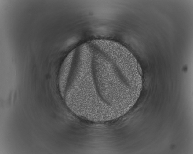 X0000094331297200711241820