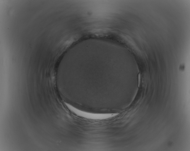 X0000094331298200711241820