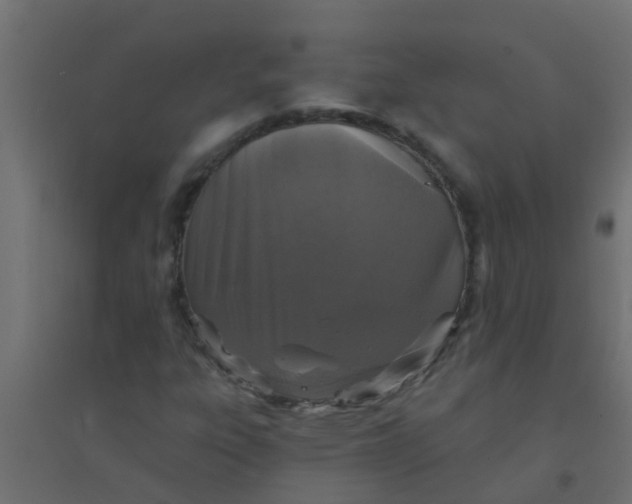 X0000094331303200711241820