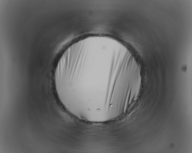X0000094331304200711241820