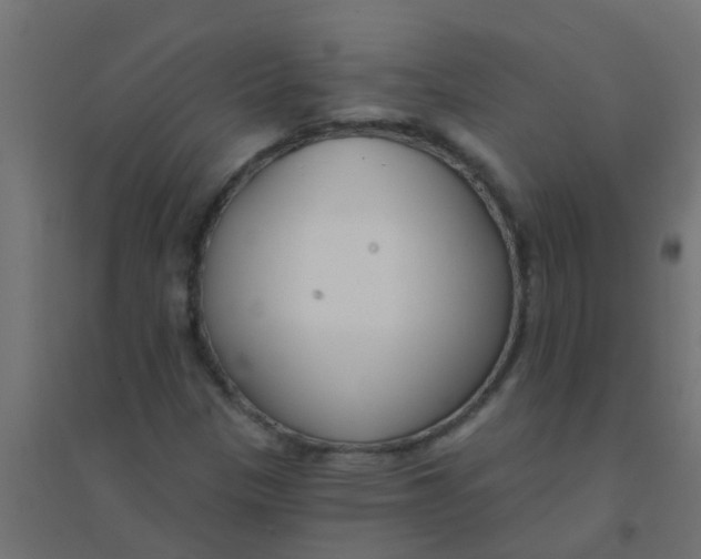 X0000094331305200711241820