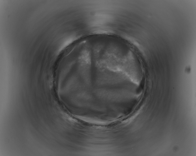 X0000094331306200711241820