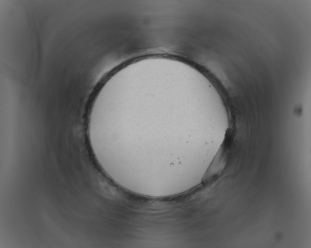 X0000094331308200711241820