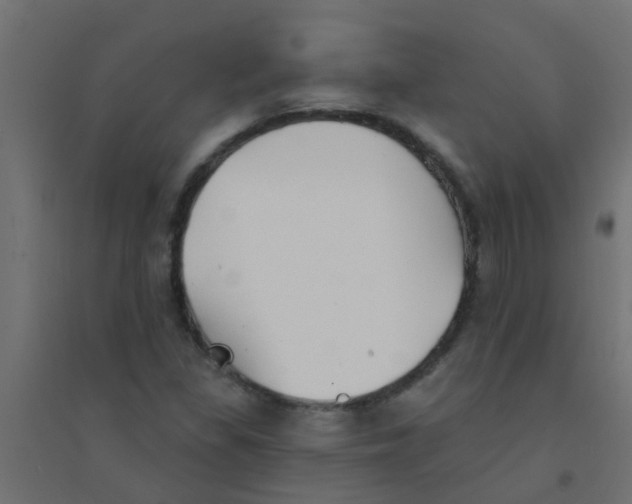 X0000094331309200711241820