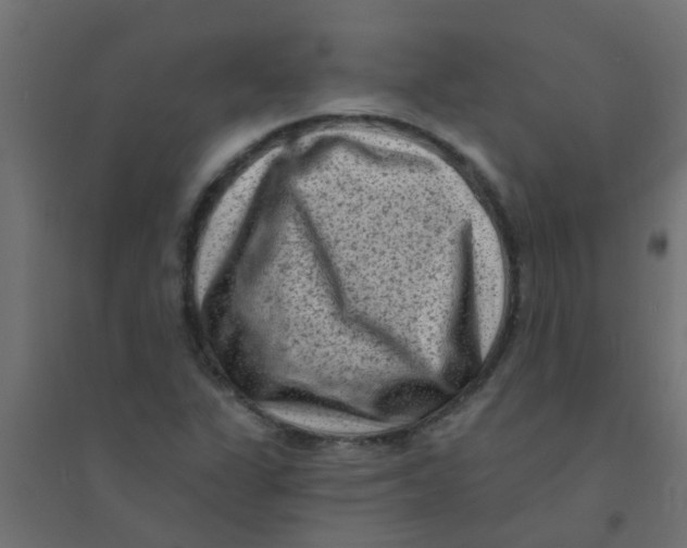 X0000094331311200711241820