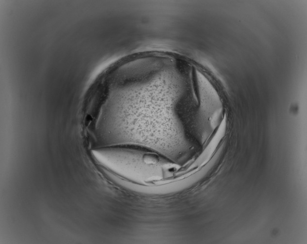 X0000094331312200711241820
