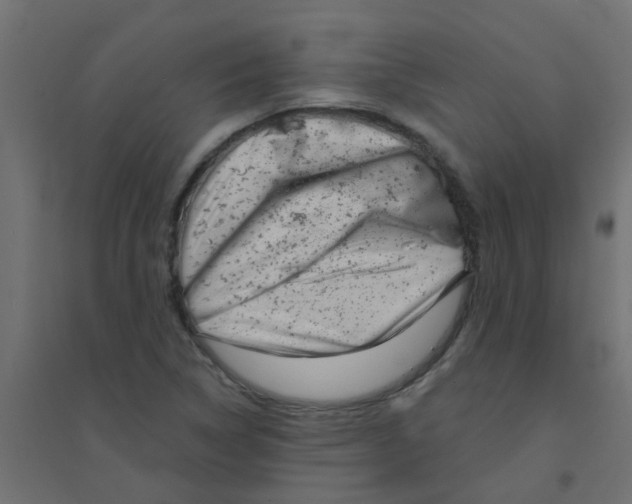 X0000094331314200711241820