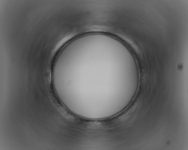 X0000094331317200711241820