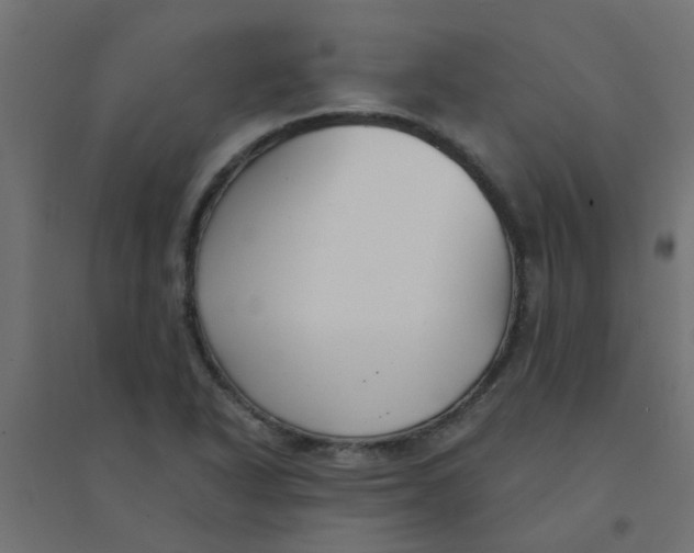 X0000094331318200711241820